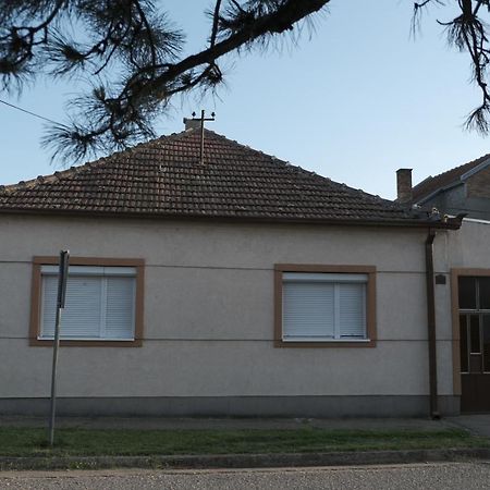 Nikodijevic Apartment Vârşeţ Exterior foto